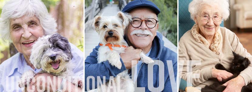 Top 6 Benefits of Pet Ownership for Seniors